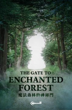 魔法森林的神秘門 [The Gate to Enchanted Forest]