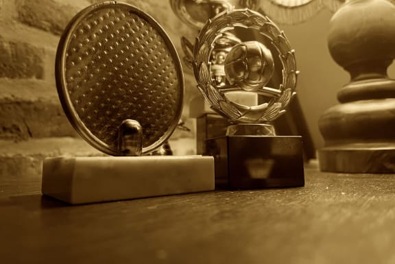 De Tweeling [The Twins]