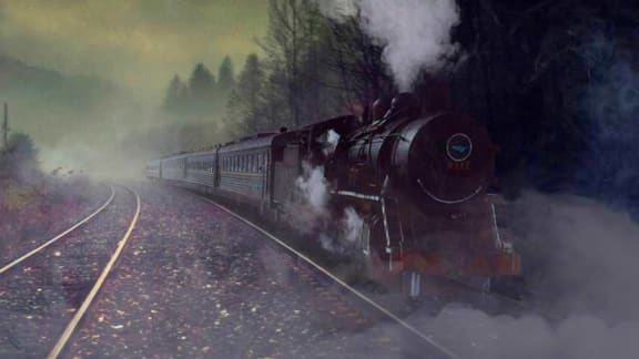 Tragedy On The Train