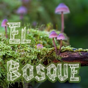 El Bosque