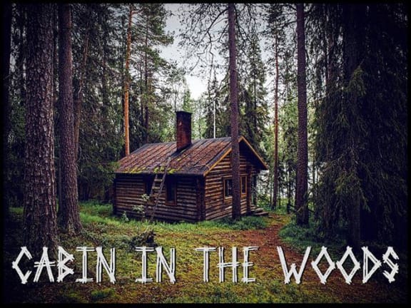 Cabin In The Woods