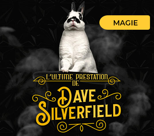 L’ultime Prestation De Dave Silverfield [Dave Silverfield's Final Performance] [Outdoor]