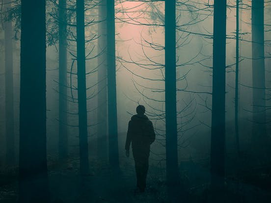 The Roanoke Experiment