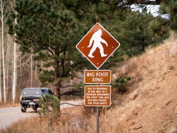 Bigfoot Encounter