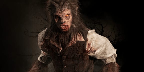 Lycans Curse