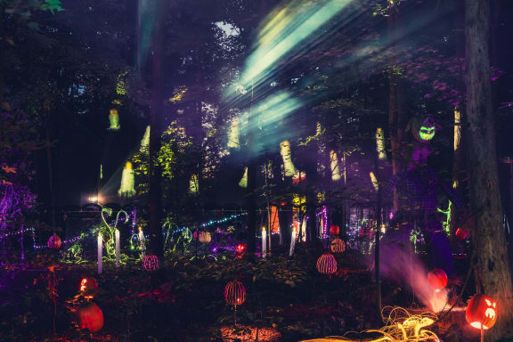 The Haunted Forest: CarnEvil