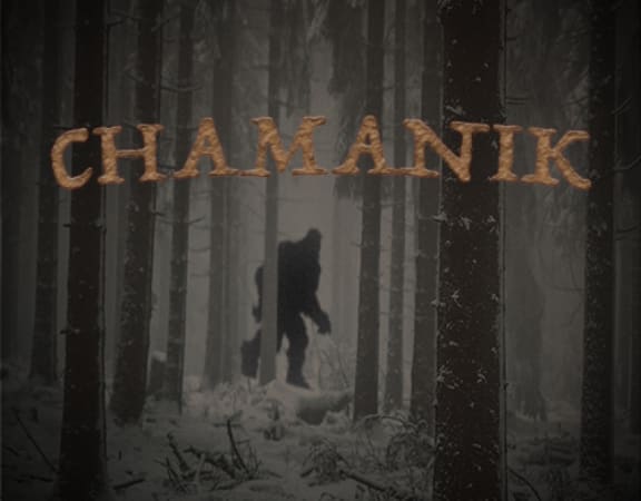 Chamanik
