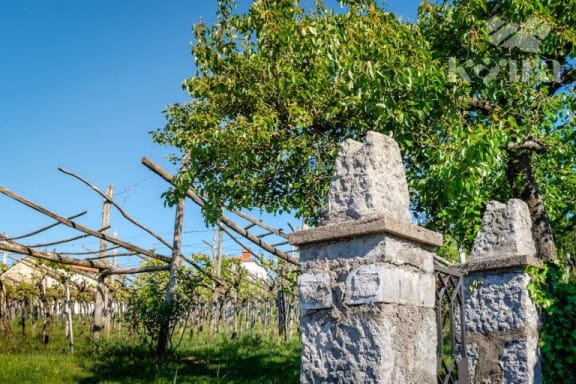 Lov Za Zakladom V Tomaju ‘viktorijina Skrivnost [Treasure Hunt In Tomaj ‘victoria’s Secret’] [Outdoor]