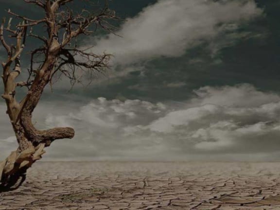 Apocalipsis Natura [Natural Apocalypse]