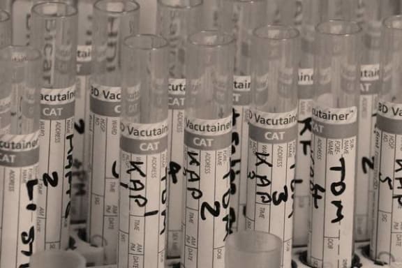 Bio Lab: Head To Head