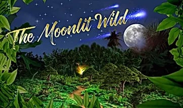 The Moonlit Wild