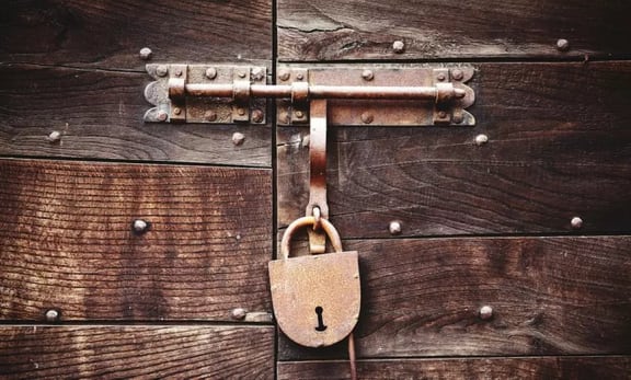 The Safecrackers Blue Eyed Cats