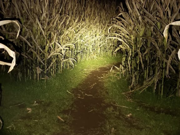 Flashlight Maze