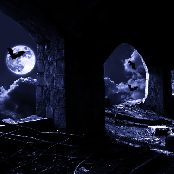 Schloss der Vampire [Castle of the Vampires]