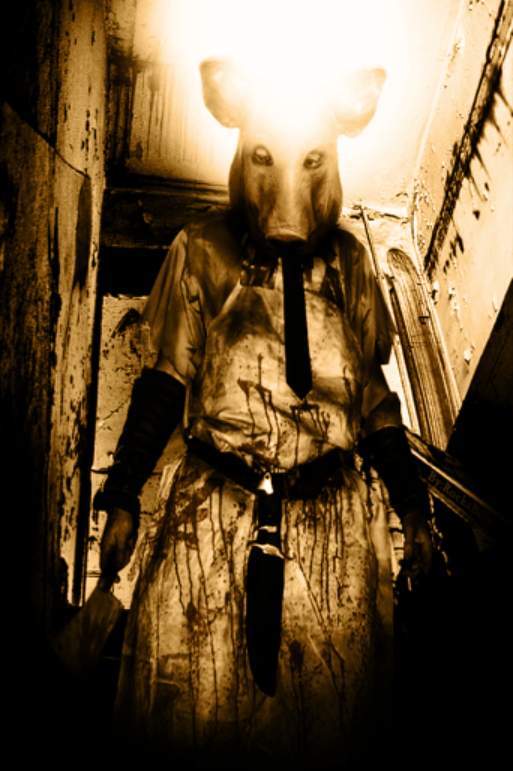 Psychiatrická Léčebna: Příběh Podivného Řezníka [Asylum: The Story of the Strange Butcher]