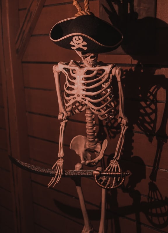 Pirates Queen Anne's Revenge