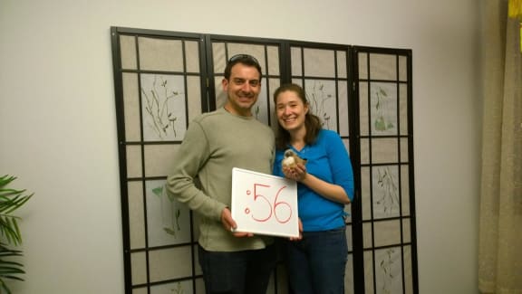 Rocky Mountain Zephyr