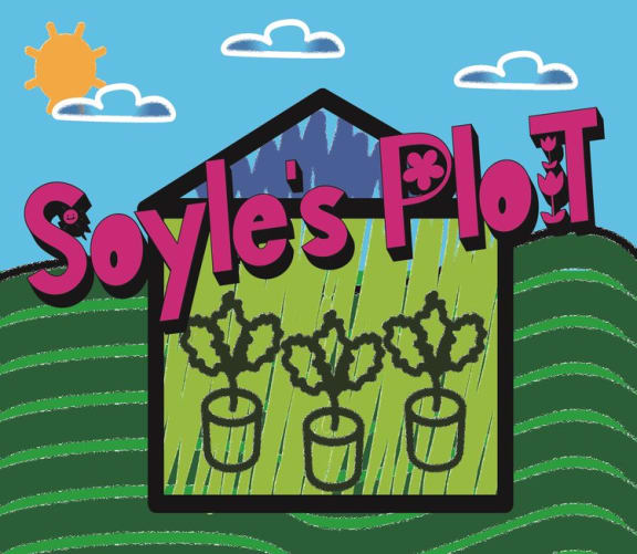 Soyle's Plot