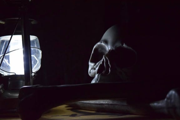 The Great Pirate Escape