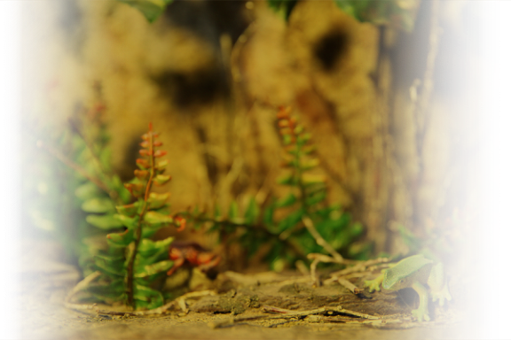 迷霧島 - 亞人試煉 [Misty Island - Demi-human Trials]