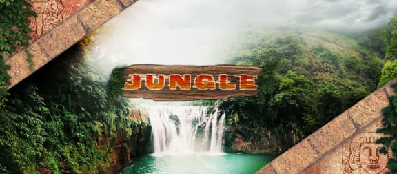 Jungle