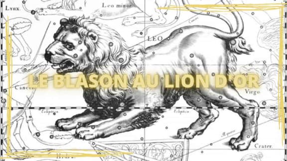 Le Blason au Lion D’or [Outdoor]