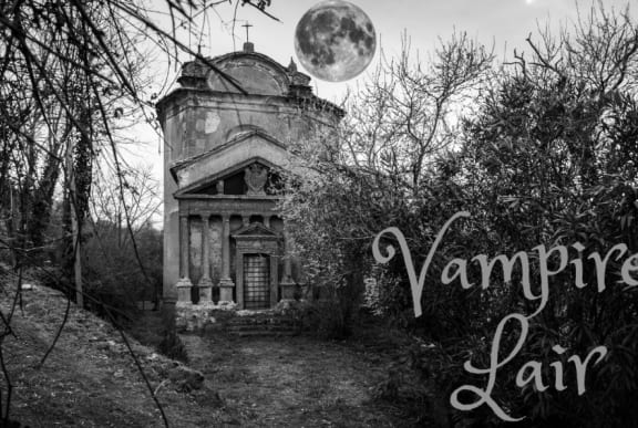 Vampires Lair