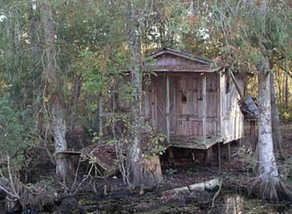 Swamp Monster