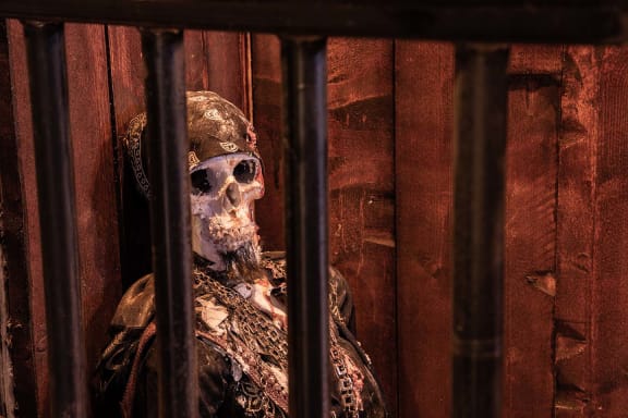 Le Trésor Du Capitaine Crochet [Captain Hook's Treasure]