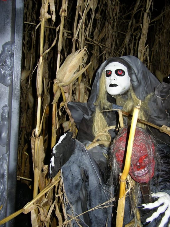 Haunted Forest and Cornfield Adventure
