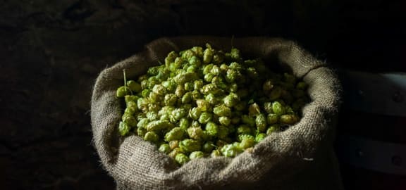 In the footsteps of Theophil Roniger