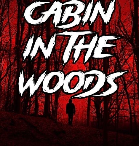 Cabin in the Woods