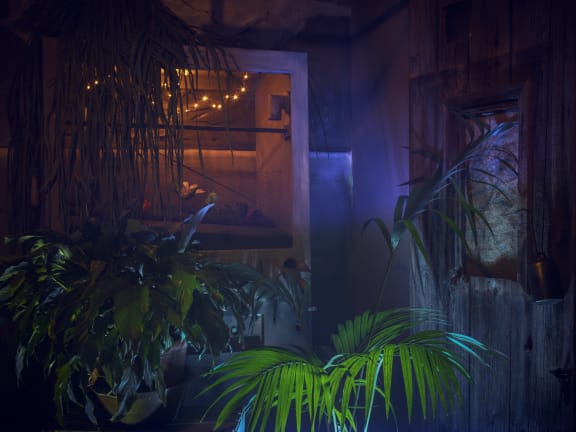 La Serre [Greenhouse]