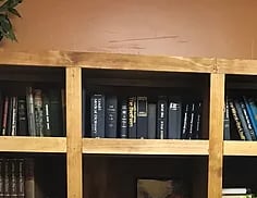 Mr. Fox's Study