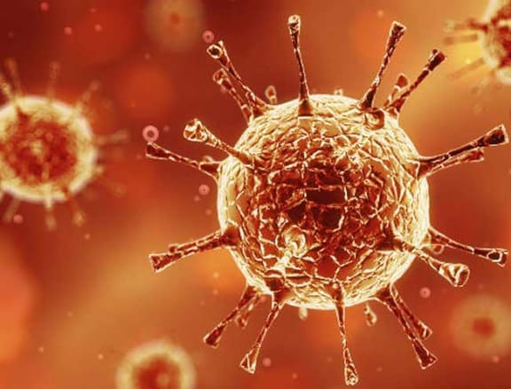 El Virus [The Virus]