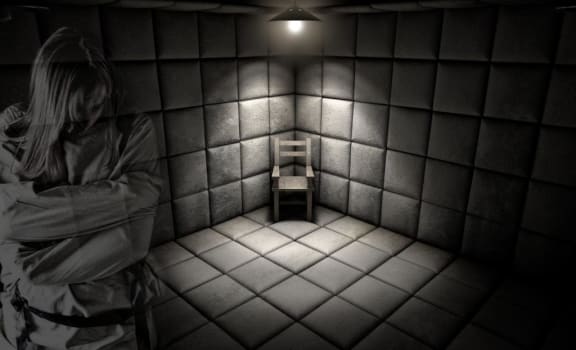 The Asylum [prev. Vice Versa]