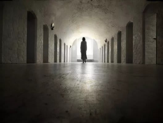 The Asylum