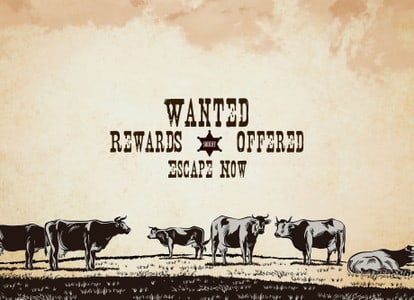 Wild West Escape Game