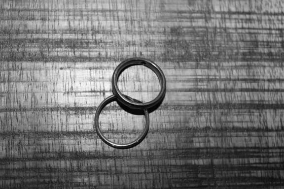 De Bruiloft [The Wedding]