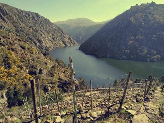 Irmandiños, La Última Batalla [Outdoor]