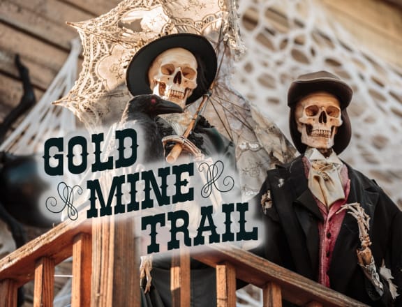 Gold Mine Trail
