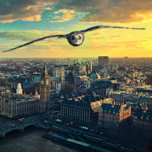 Der Magische Fall II [The Magic Case II]