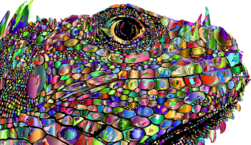 Fantastic Beasts (Harry Potter)