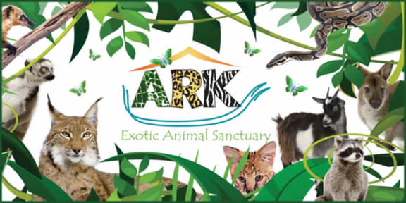 Defeat The Poachers