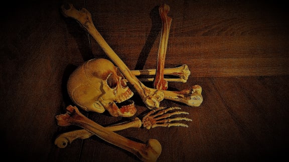 1000 Cadáveres [1000 Corpses]