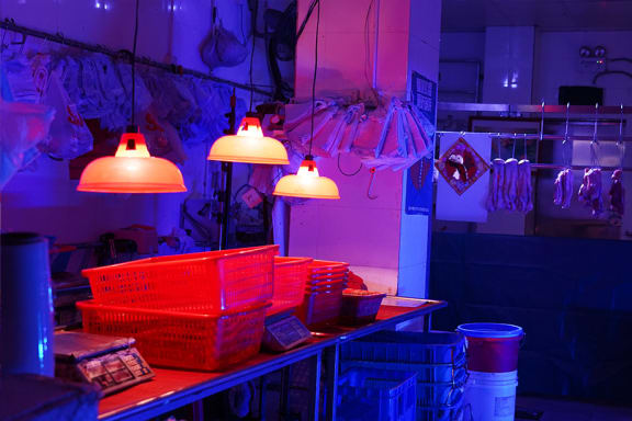 Forbidden Zone 724 [Season 2024]