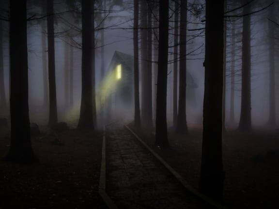 Das Alte Haus im Wald [The Old House In The Forest]