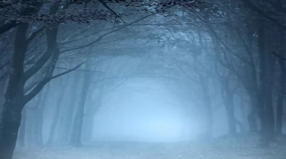 La Forêt [The Forest]