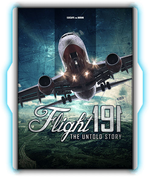 Flight 191
