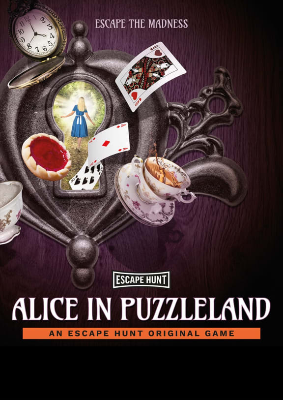 Alice in Puzzleland